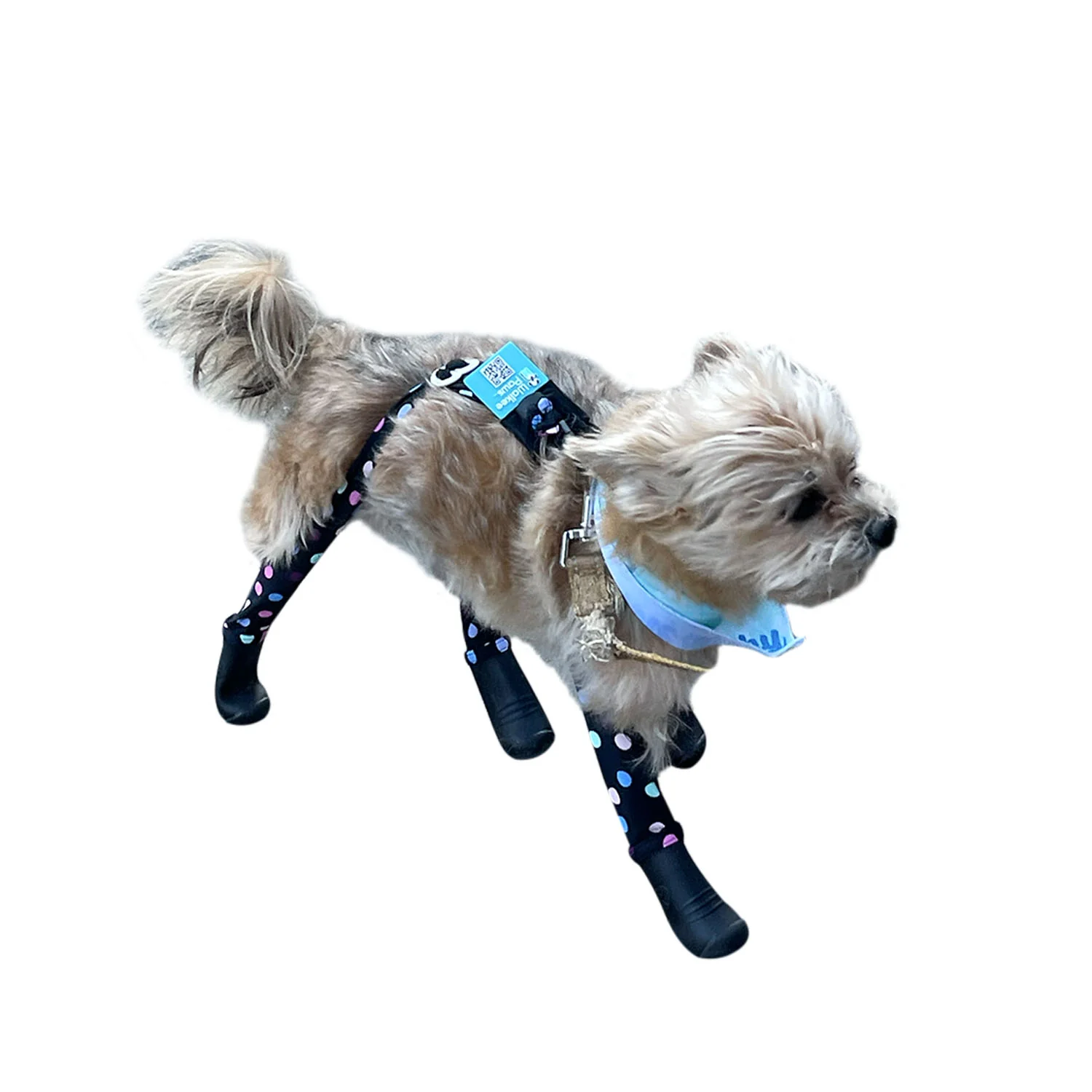Product image 69