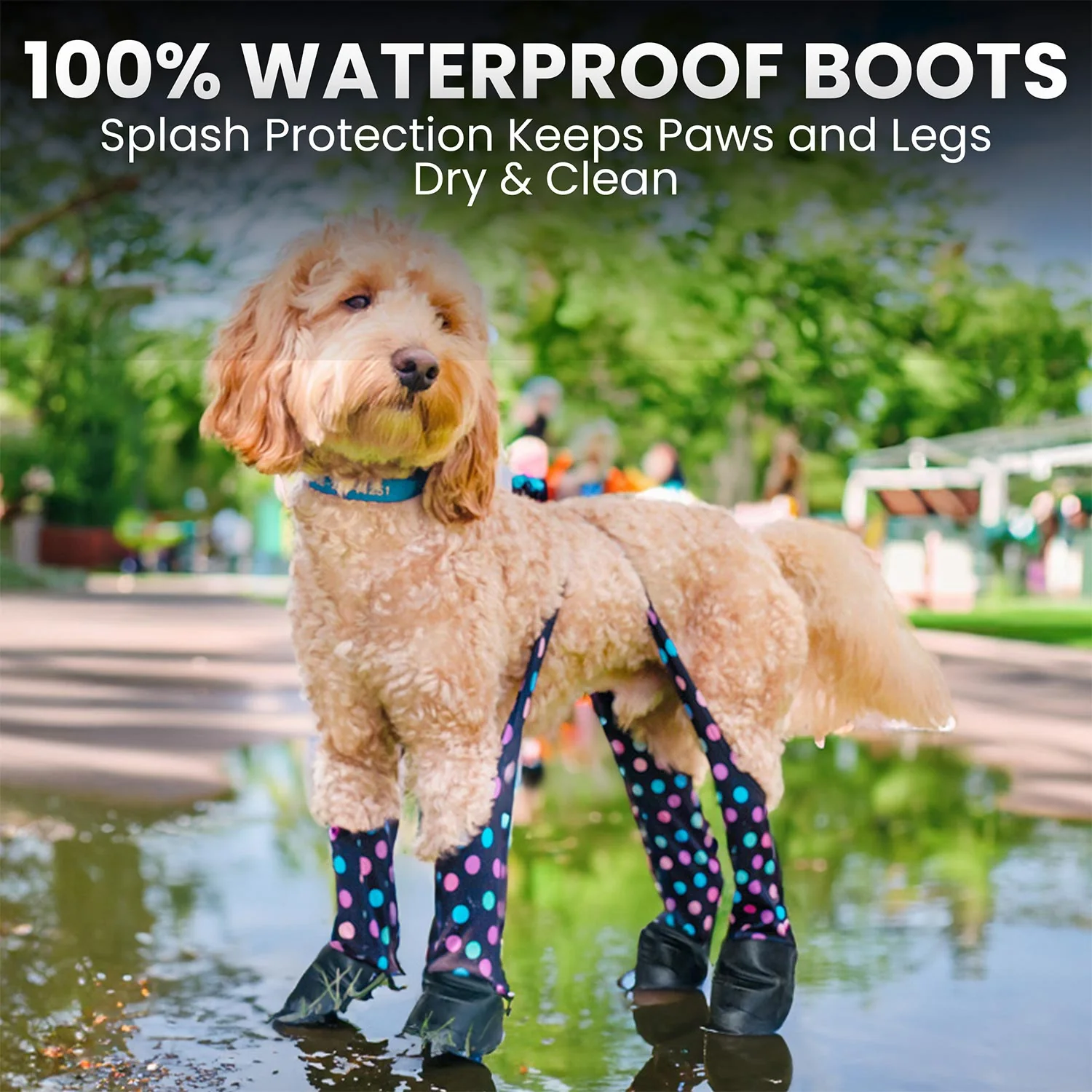 Product image 73