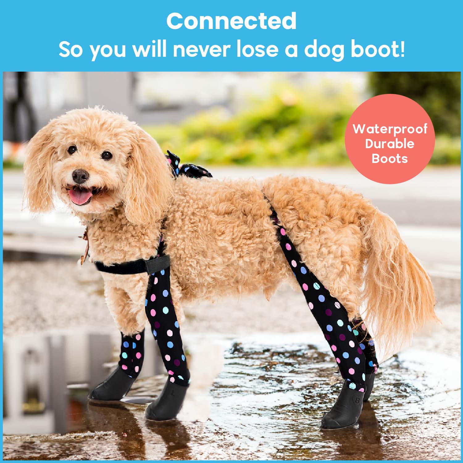 Product image 79