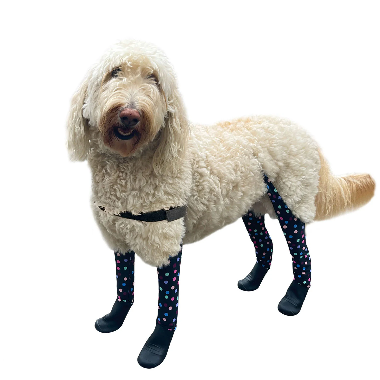 Product image 80