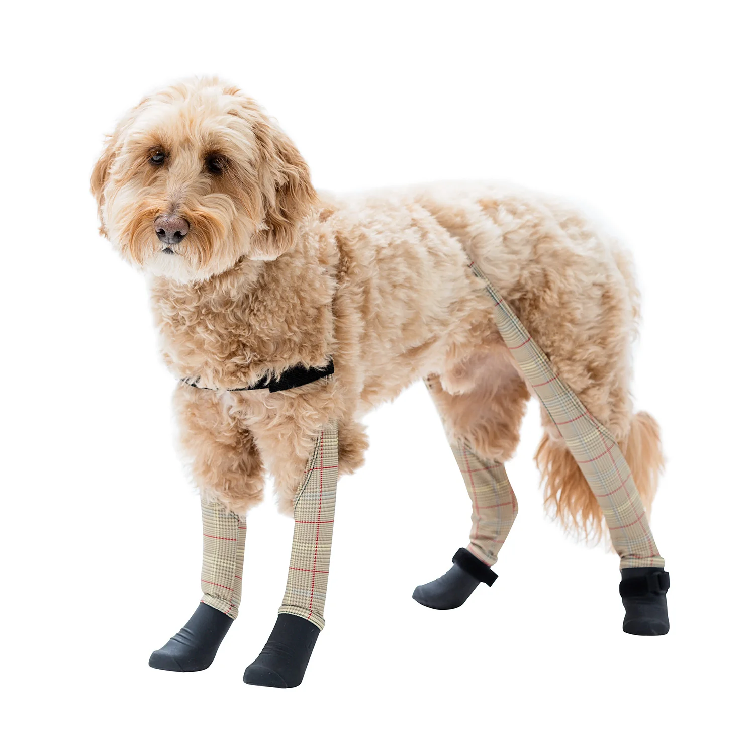 Product image 46
