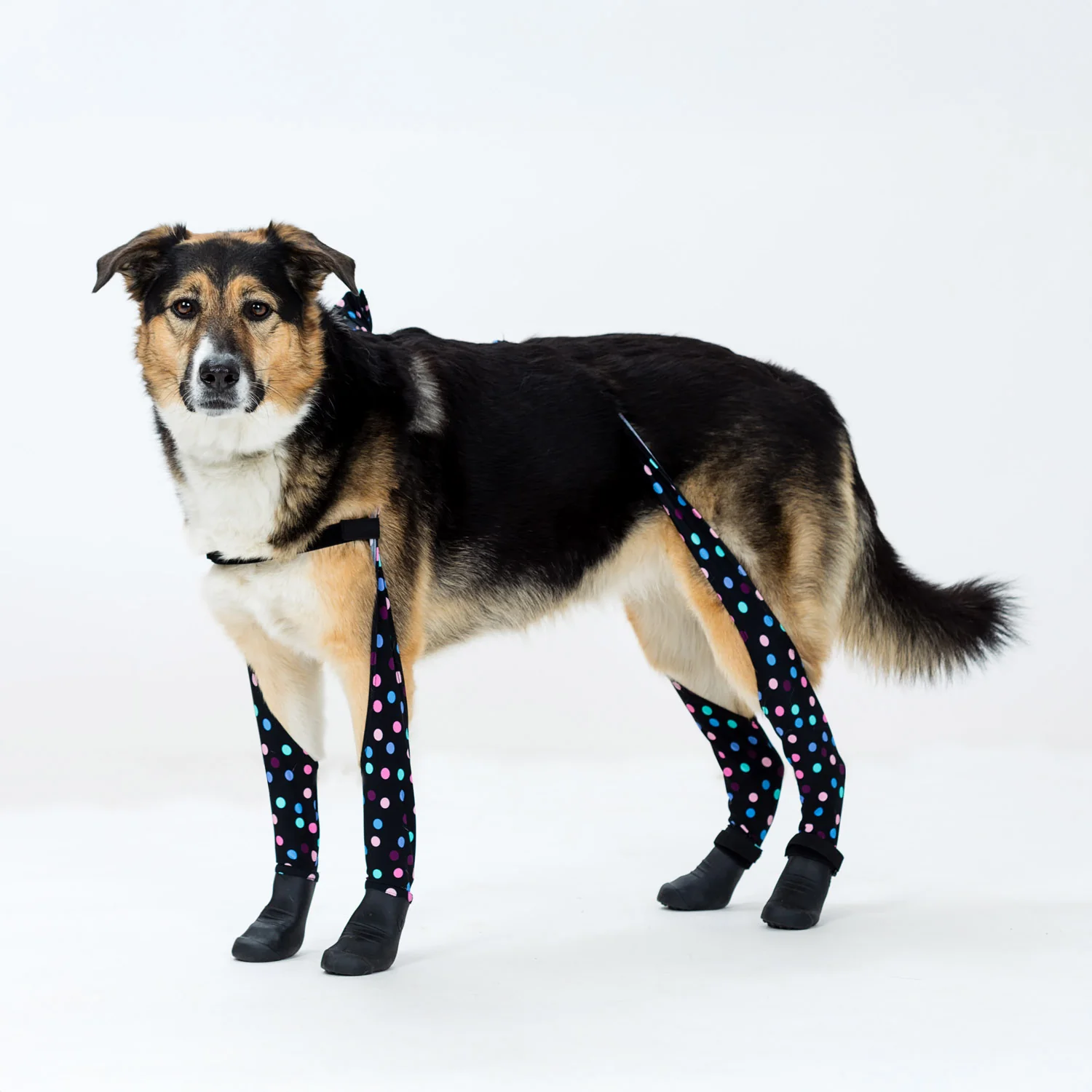 Product image 54