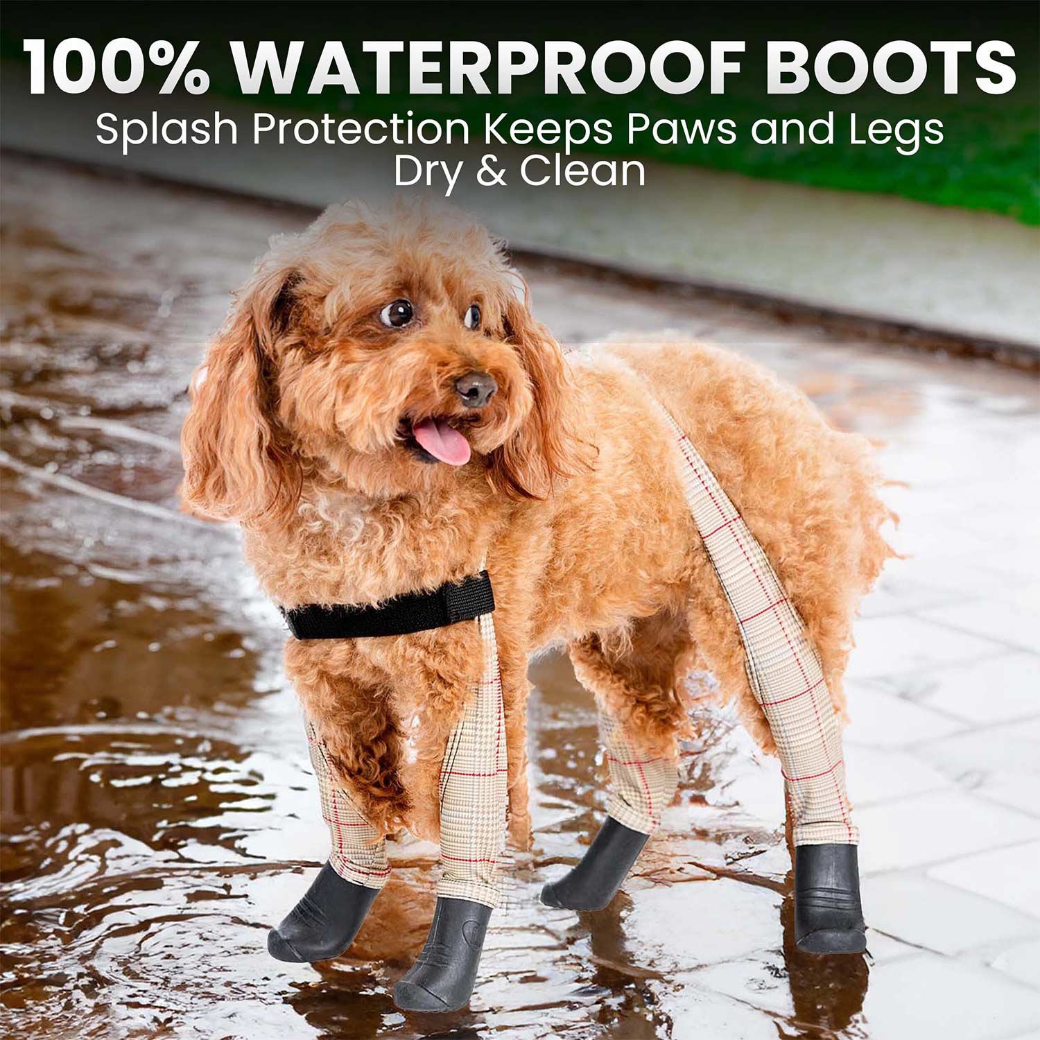 Product image 60