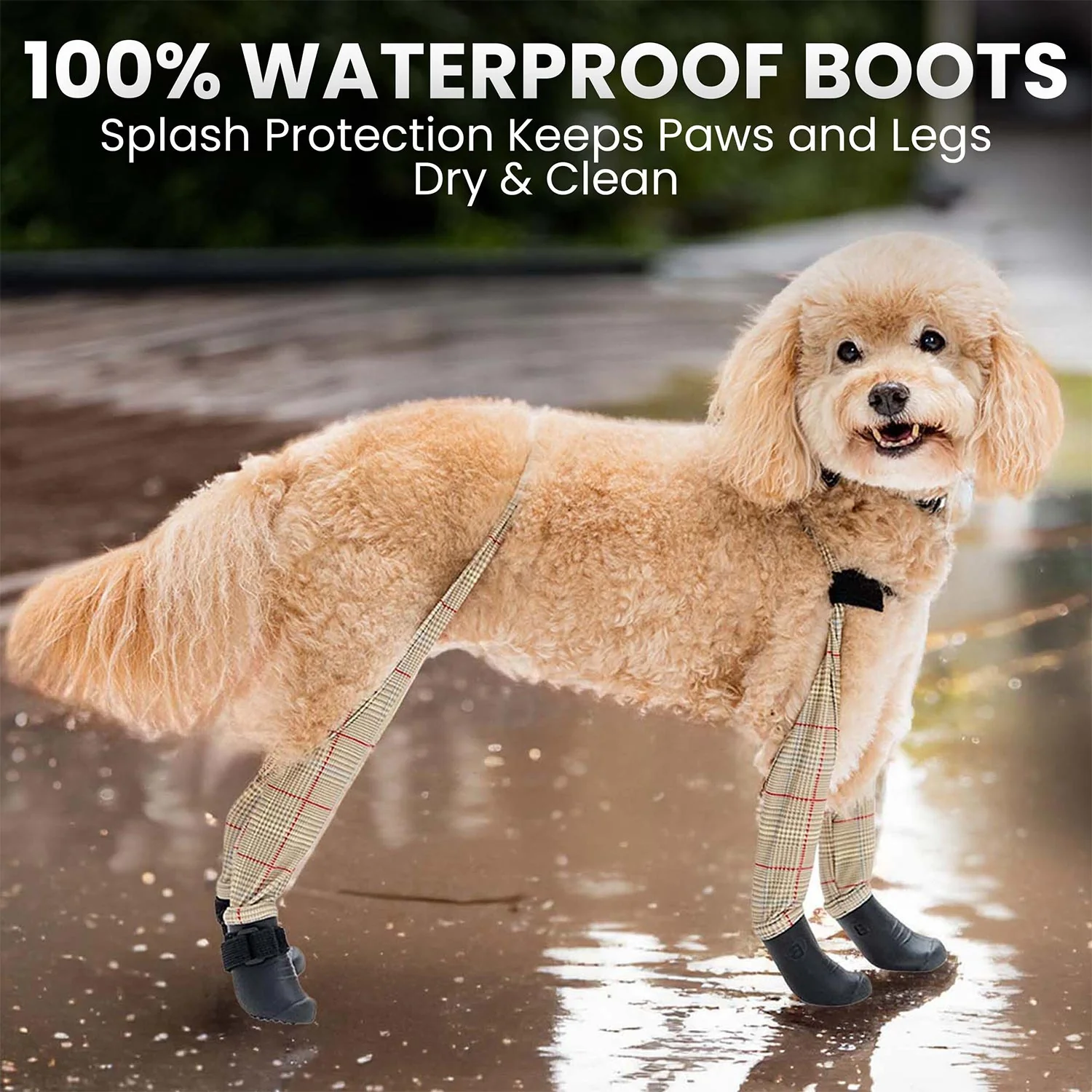 Product image 61