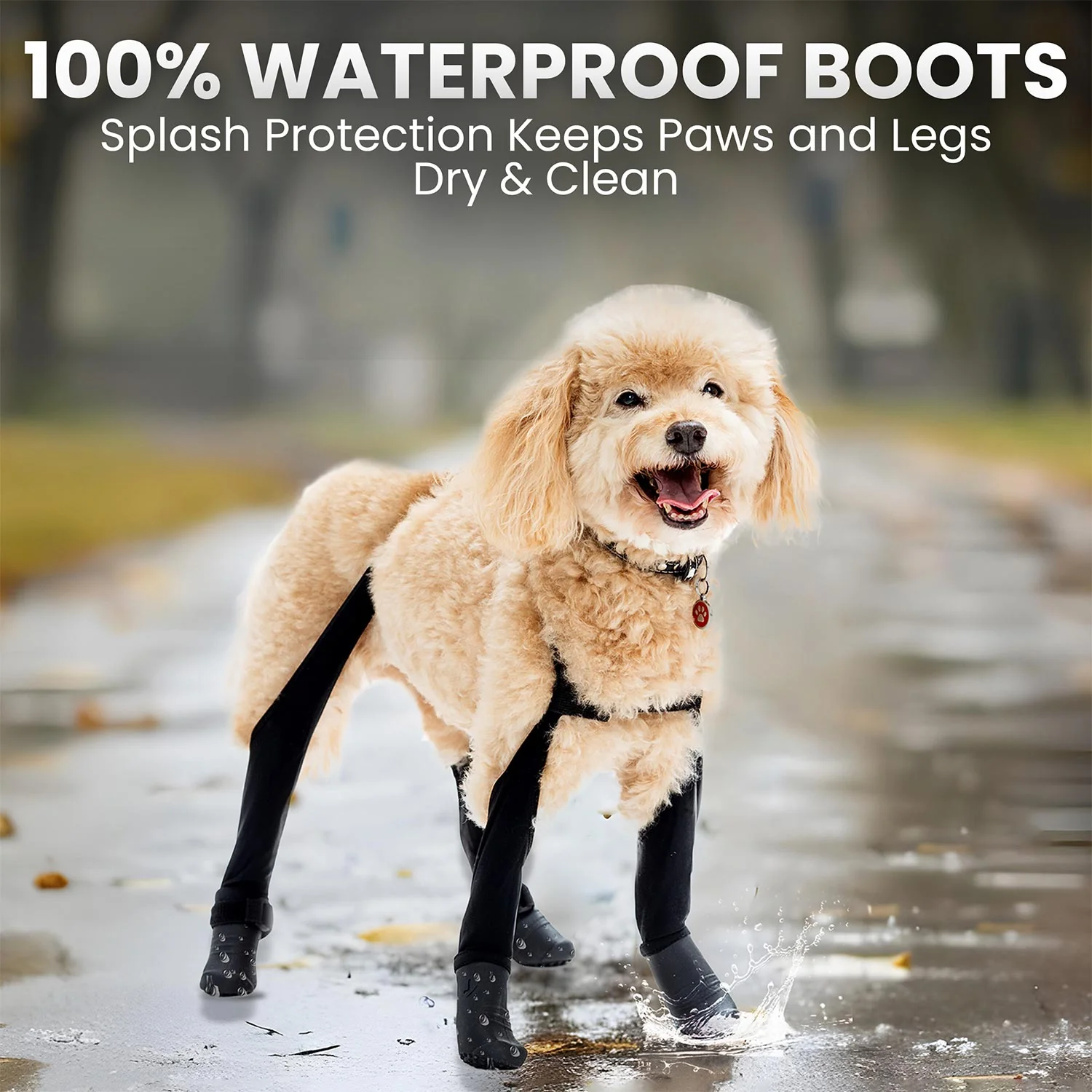 Product image 62