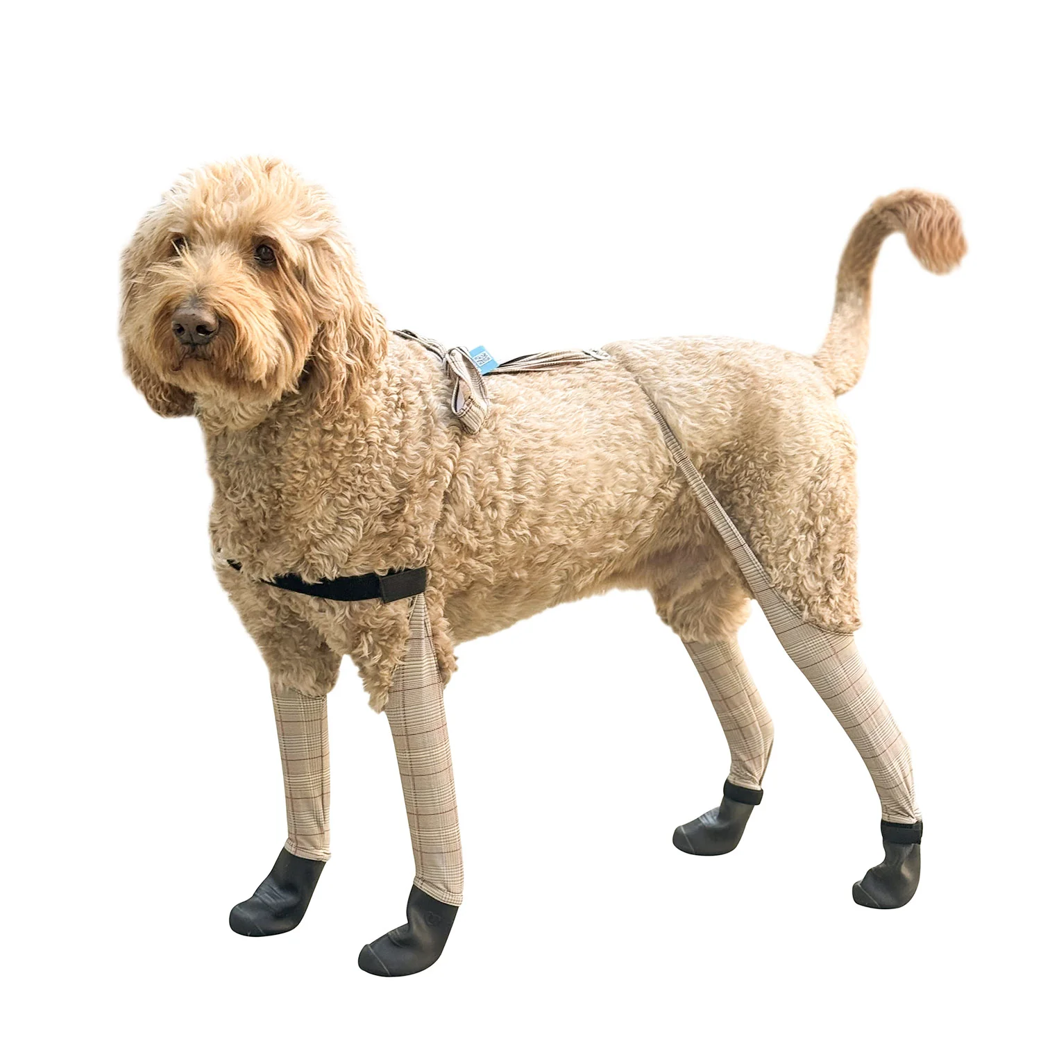 Product image 66