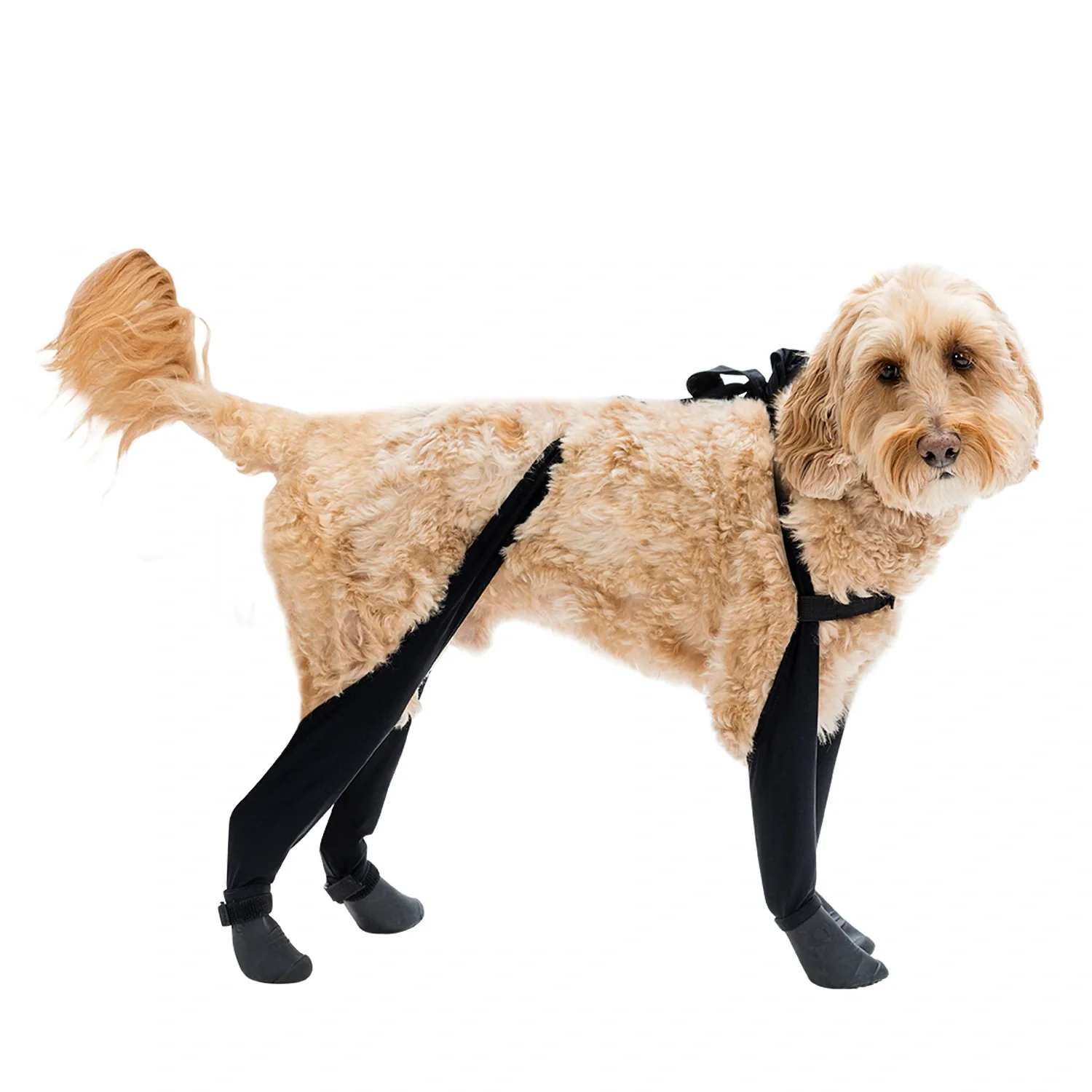 Product image 78