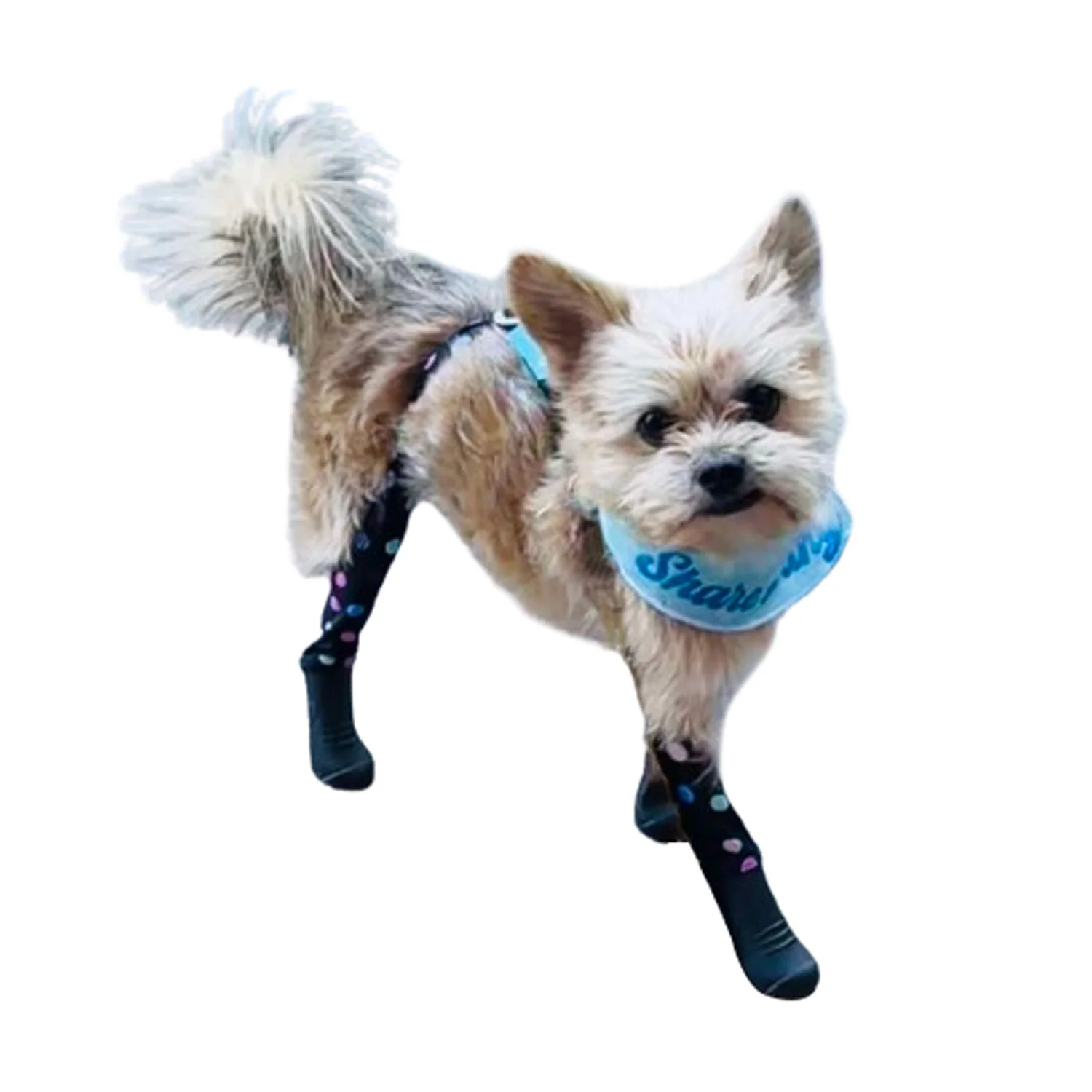 Product image 80