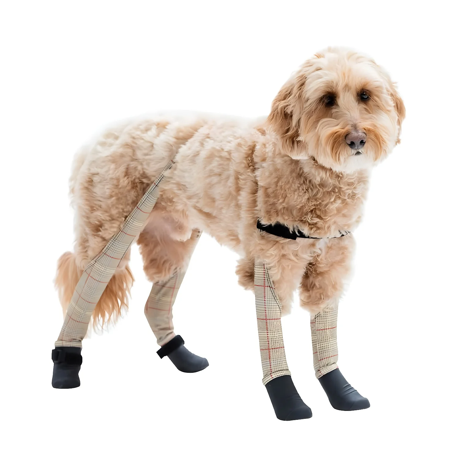 Product image 82