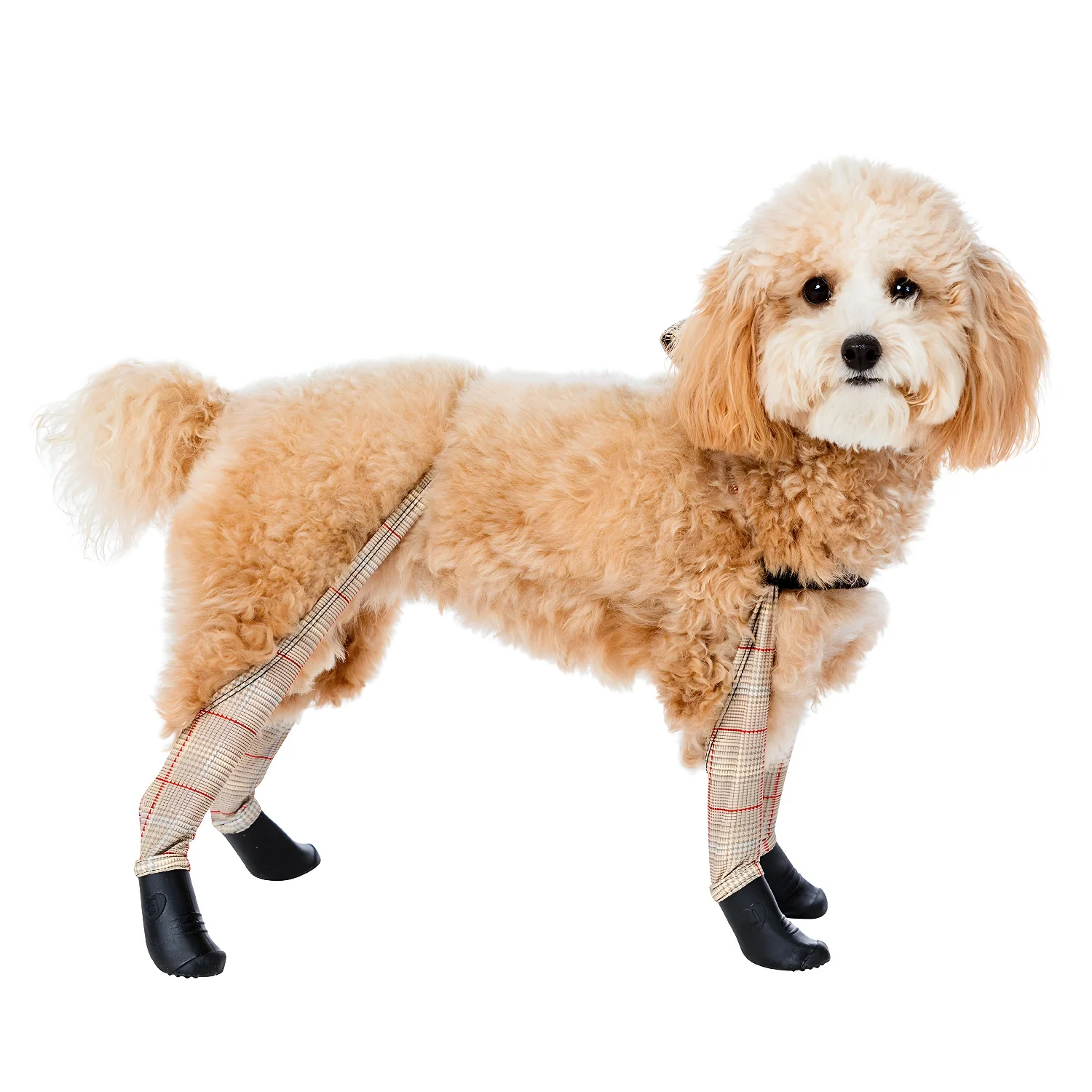 Product image 83