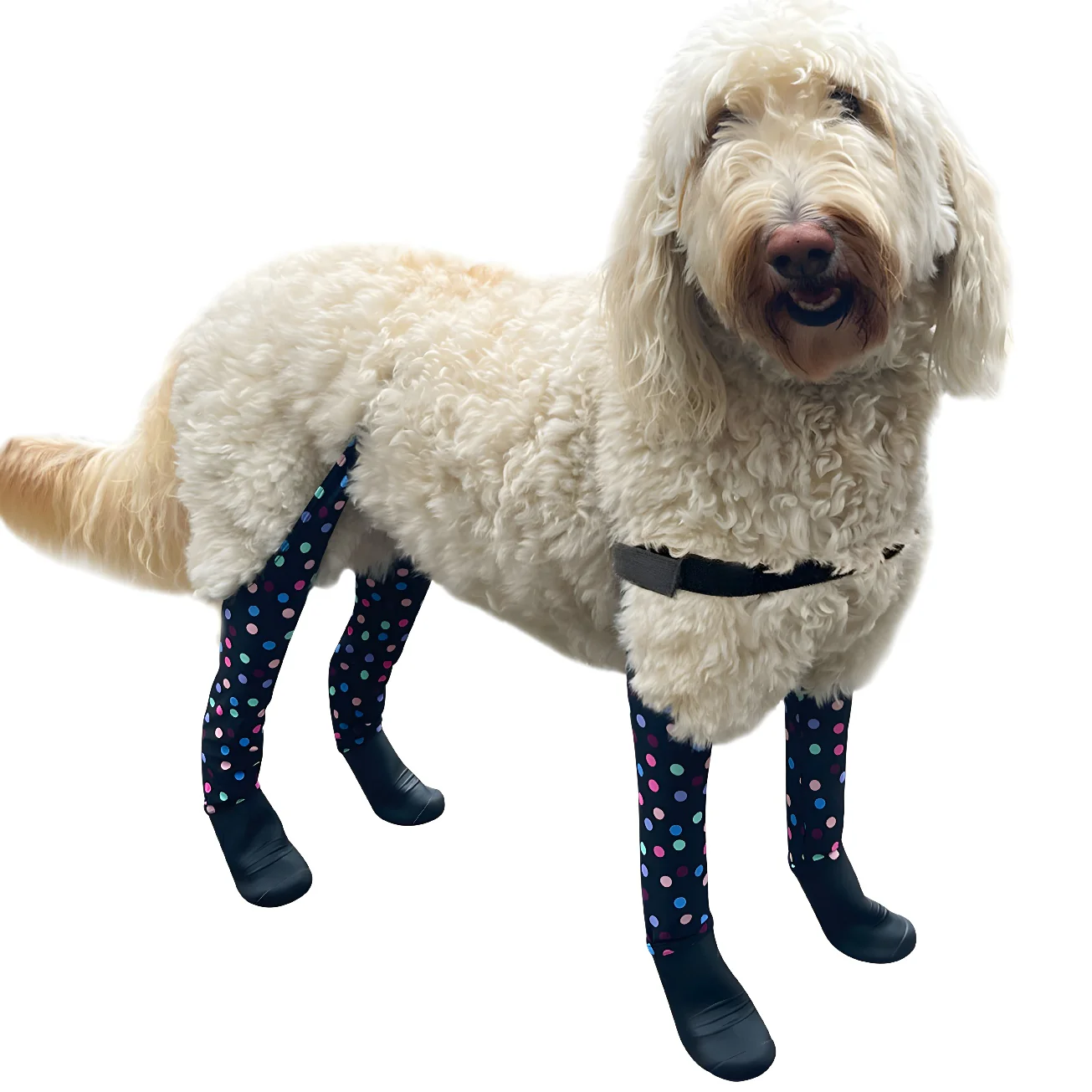 Product image 85