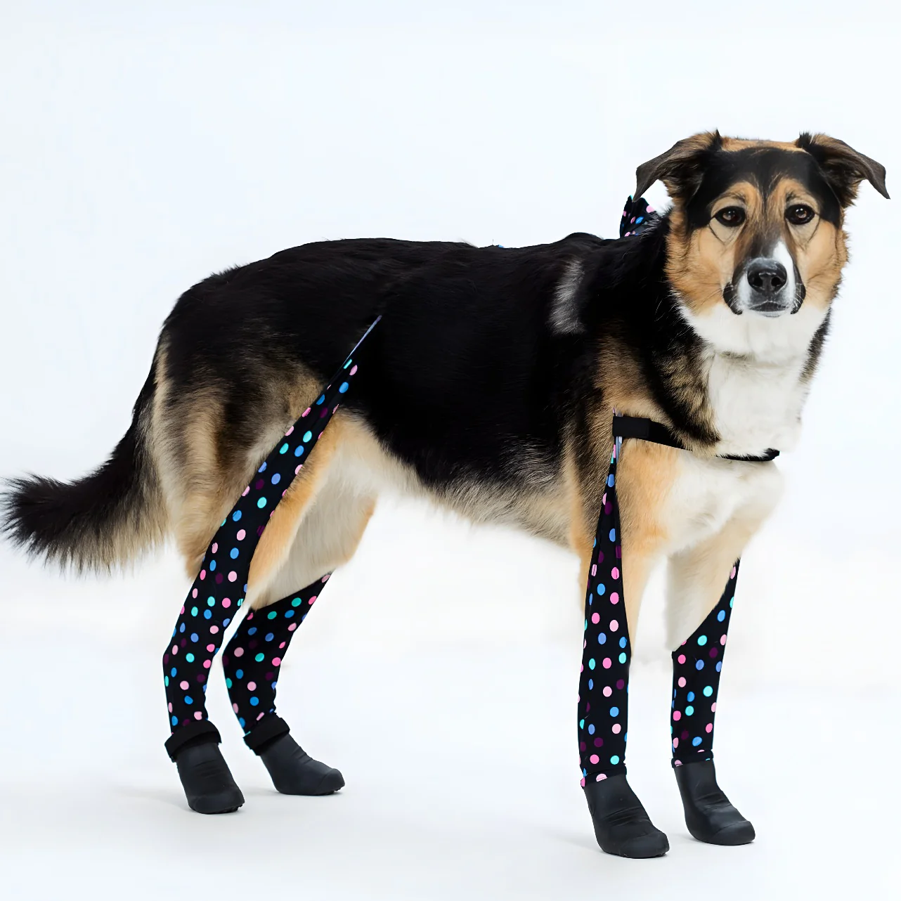 Product image 86