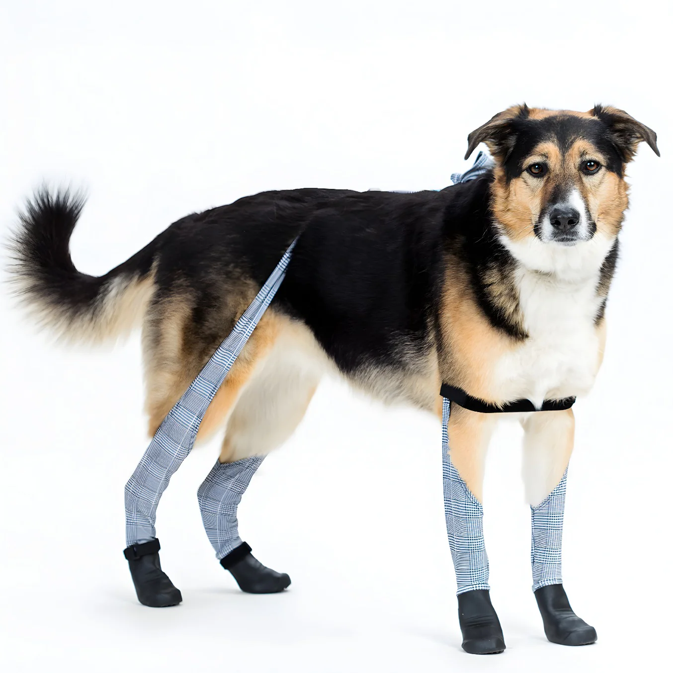 Product image 89